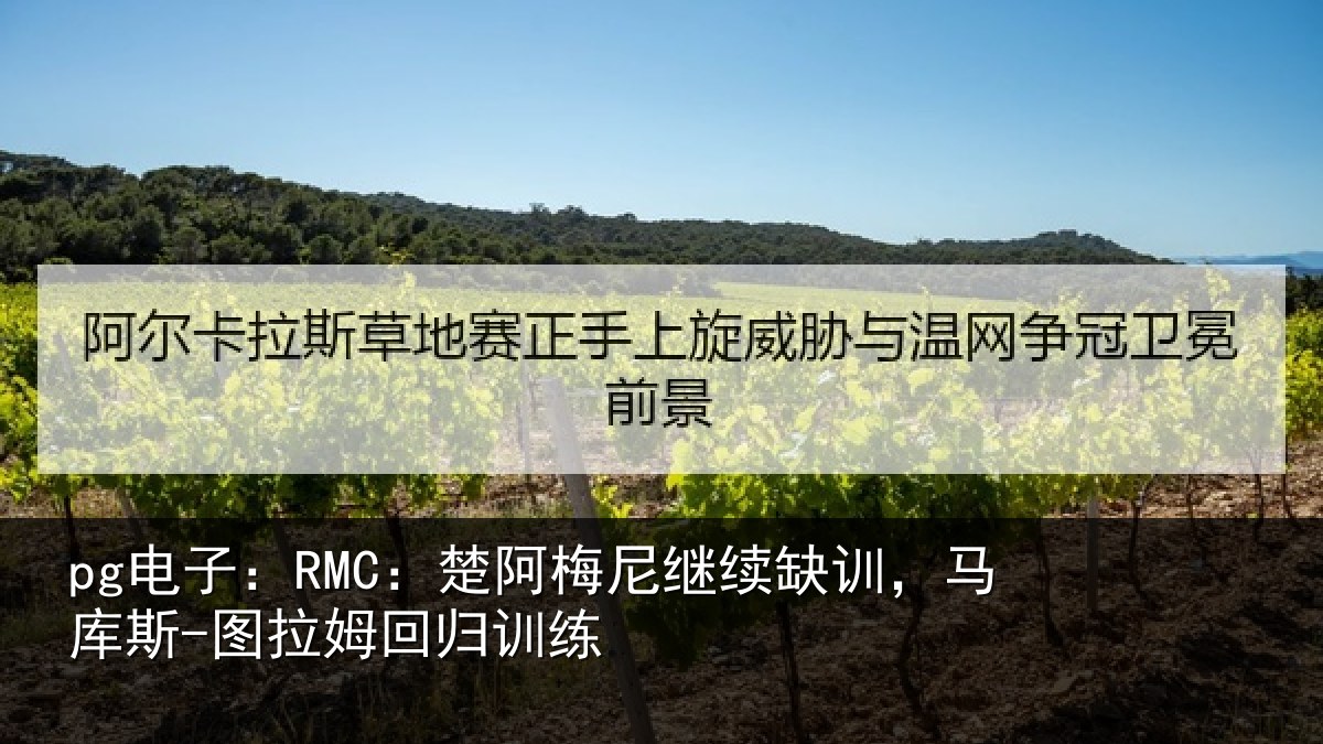 pg电子：RMC：楚阿相关情况斯-图拉姆回归训练